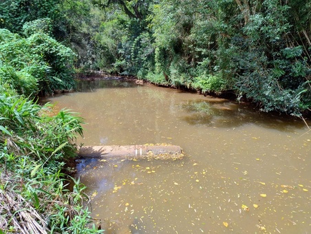 Baixa no nível do Rio Suruvi reduz captação e alerta para necessidade de consumo racional