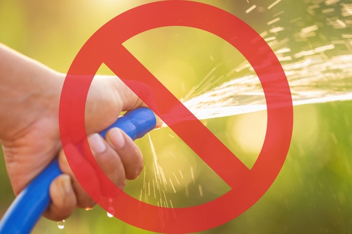 Uso consciente da água: compromisso que precisa ser levado a sério por todos